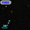 VVDS 220199442