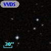 VVDS 220199752