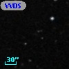 VVDS 220201366