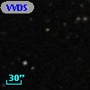 VVDS 220201705