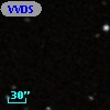 VVDS 220202273