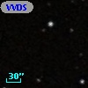 VVDS 220202509