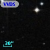 VVDS 220202759
