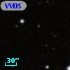 VVDS 220202828