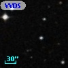 VVDS 220203028