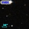 VVDS 220203802
