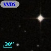 VVDS 220203902