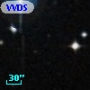 VVDS 220204695