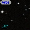 VVDS 220205079