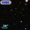 VVDS 220205170