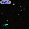 VVDS 220205333