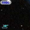 VVDS 220208561