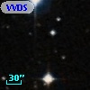 VVDS 220208756