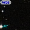 VVDS 220208844