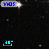 VVDS 220209399