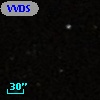 VVDS 220210165