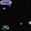 VVDS 220210693