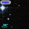 VVDS 220210995