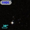 VVDS 220211717