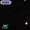 VVDS 220211763