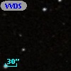 VVDS 220212353