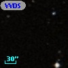 VVDS 220213091