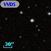 VVDS 220213318