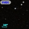 VVDS 220213437