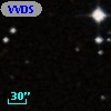 VVDS 220215146