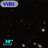 VVDS 220215204