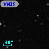 VVDS 220215440