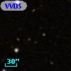 VVDS 220215476
