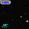 VVDS 220215876