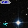 VVDS 220215974