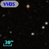 VVDS 220216662