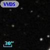 VVDS 220216864