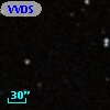 VVDS 220216956
