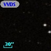 VVDS 220217858