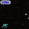 VVDS 220217983