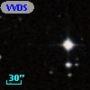 VVDS 220217991