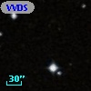VVDS 220218031