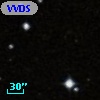 VVDS 220218493