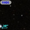 VVDS 220218786