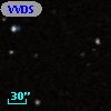 VVDS 220219491