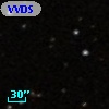 VVDS 220220457