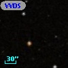 VVDS 220220796