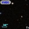VVDS 220221356