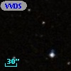 VVDS 220221398