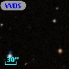 VVDS 220221416