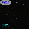VVDS 220221482